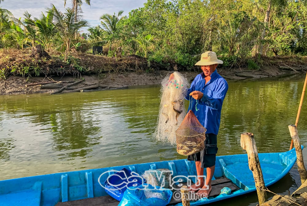 Giăng lưới từ khuya đến sáng là được vài ký cá chốt.