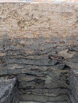 Giải mã kỹ thuật thành quách thế kỷ X tại thành cổ Hoa Lư (đoạn thành Dền) - ảnh 3