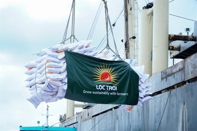 Lộc Trời (LTG) giải trình về việc cổ phiếu bị hạn chế giao dịch - ảnh 1