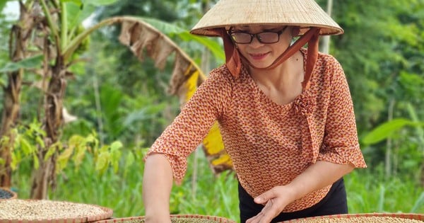 ពីគ្រូបច្ចេកវិជ្ជាទៅសាបព្រោះក្នុងព្រៃជ្រៅ