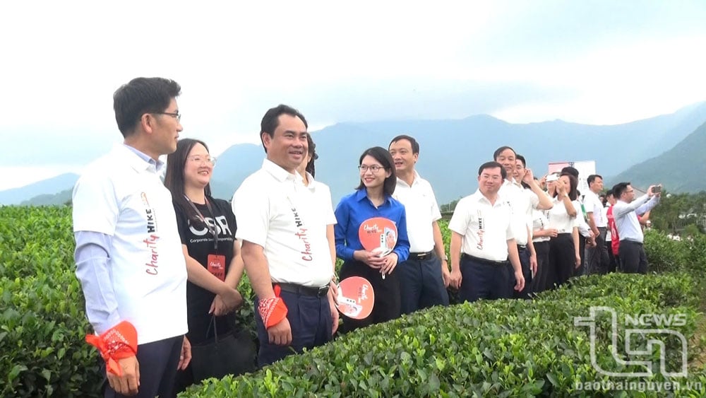 ថ្នាក់ដឹកនាំខេត្ត Thai Nguyen និងស្រុក Dai Tu បានឆ្លើយតបនឹងចលនាដើរដើម្បីរៃអង្គាសថវិកាសម្រាប់ការវះកាត់បេះដូងដល់កុមារក្នុងព្រឹត្តិការណ៍ដែលប្រព្រឹត្តទៅនៅភូមិ Cau Da ឃុំ Hoang Nong។