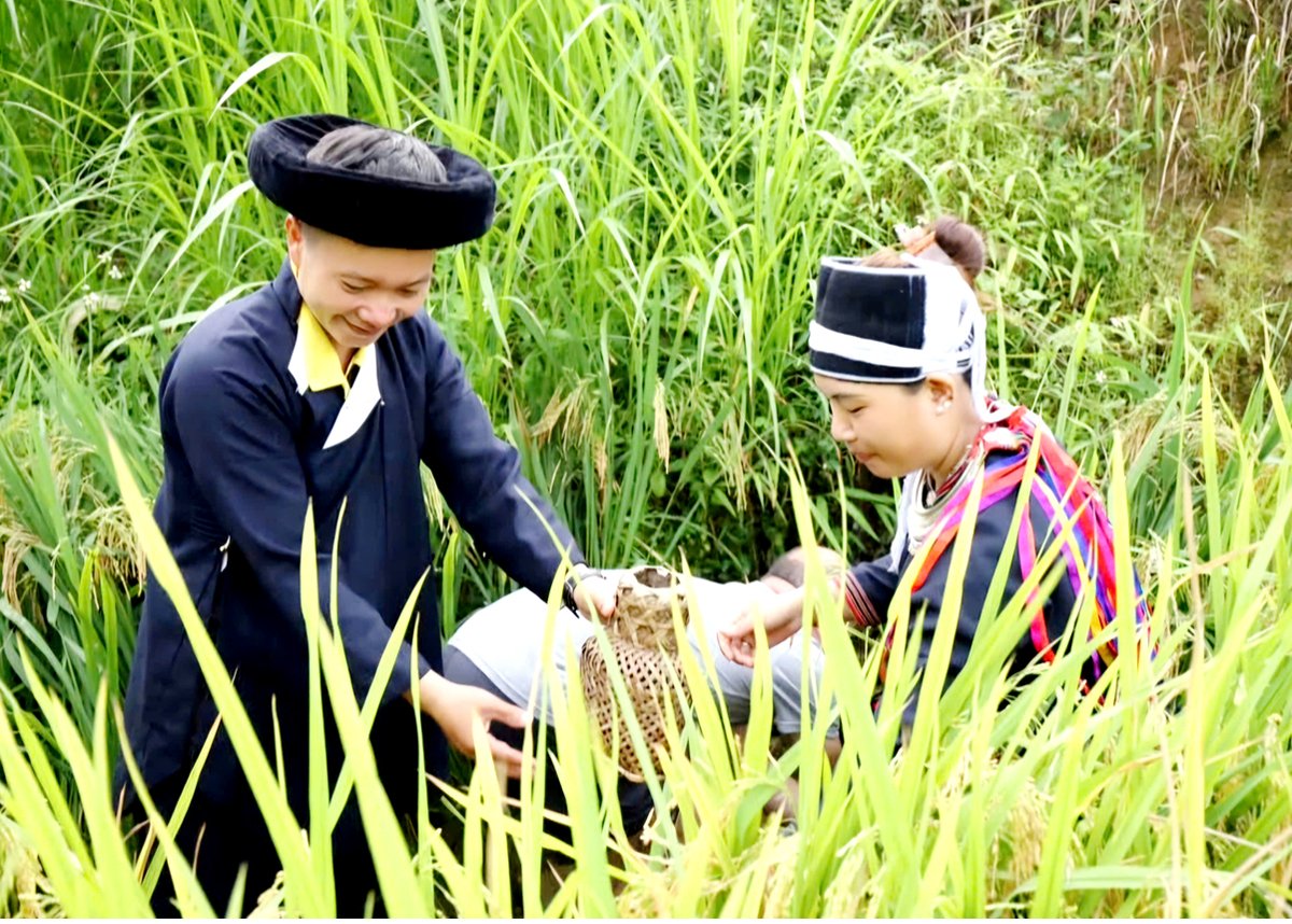 Chị Vương Thị Diễm cùng chồng bắt cá Chép ruộng, chuẩn bị đồ ăn cho du khách.