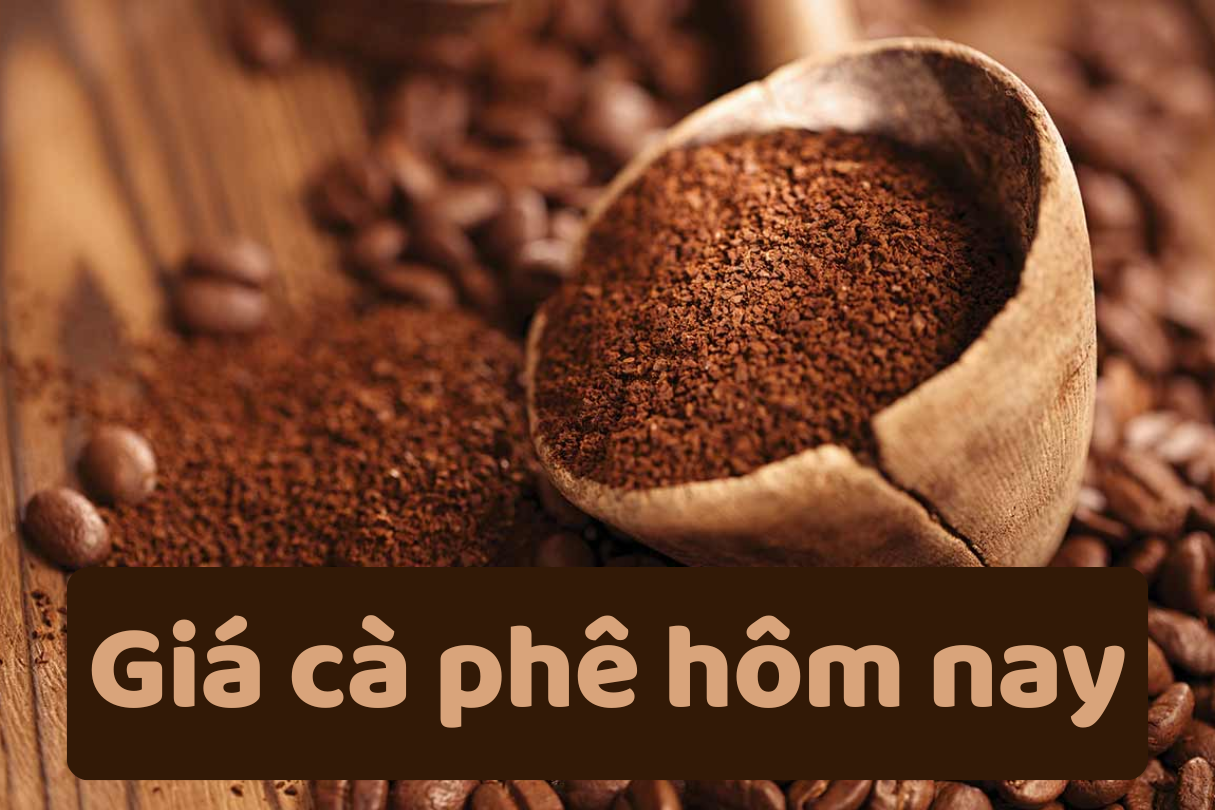 Giá cà phê hôm nay 14/6/2025: Tăng nhẹ trở lại