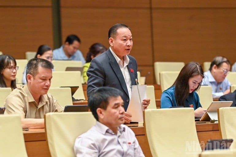 Đại biểu Tráng A Dương (Hà Giang) phát biểu. (Ảnh: DUY LINH)