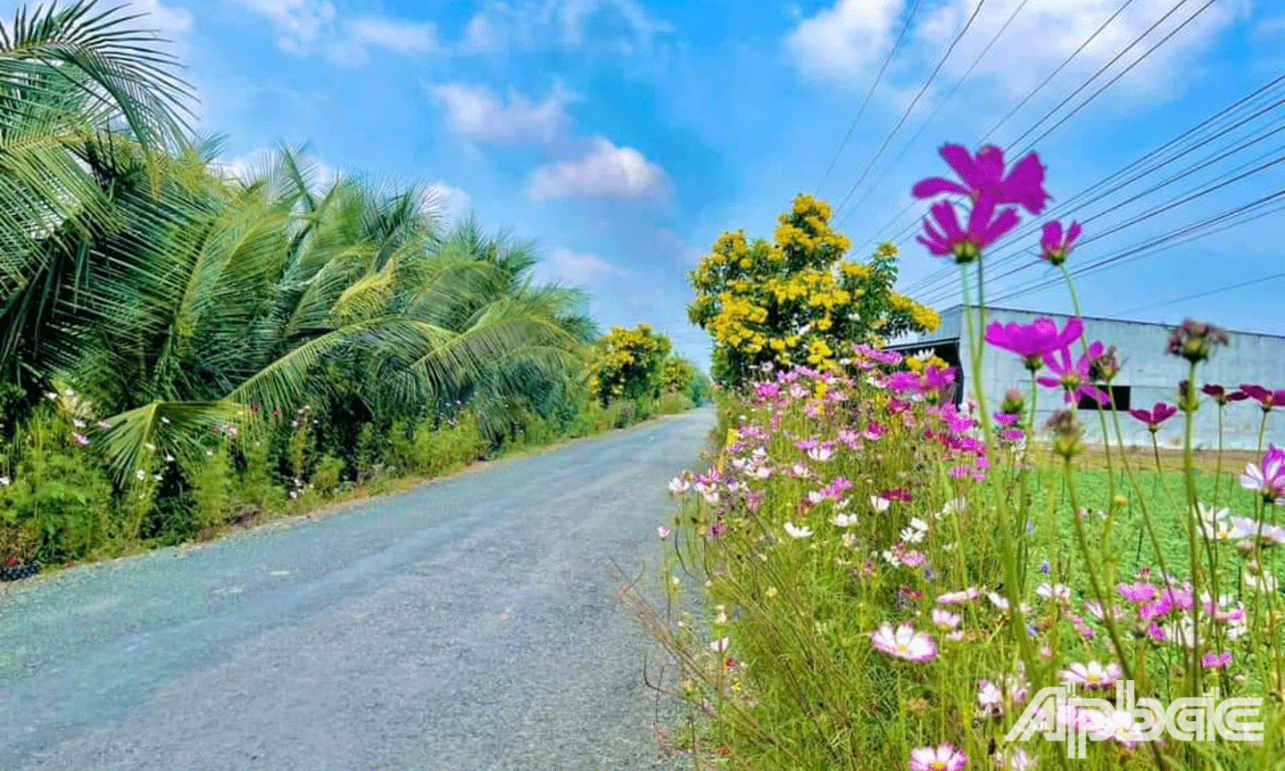 TUYẾN ĐƯỜNG HOA KIỂU MẨU ẤP BỜ KINH - CHÙA ĐẤT ĐỎ ĐẠT GIẢI NHẤT HỘI THI TUYẾN ĐƯỜNG XANH, SẠCH, ĐẸP, AN TOÀN 2024