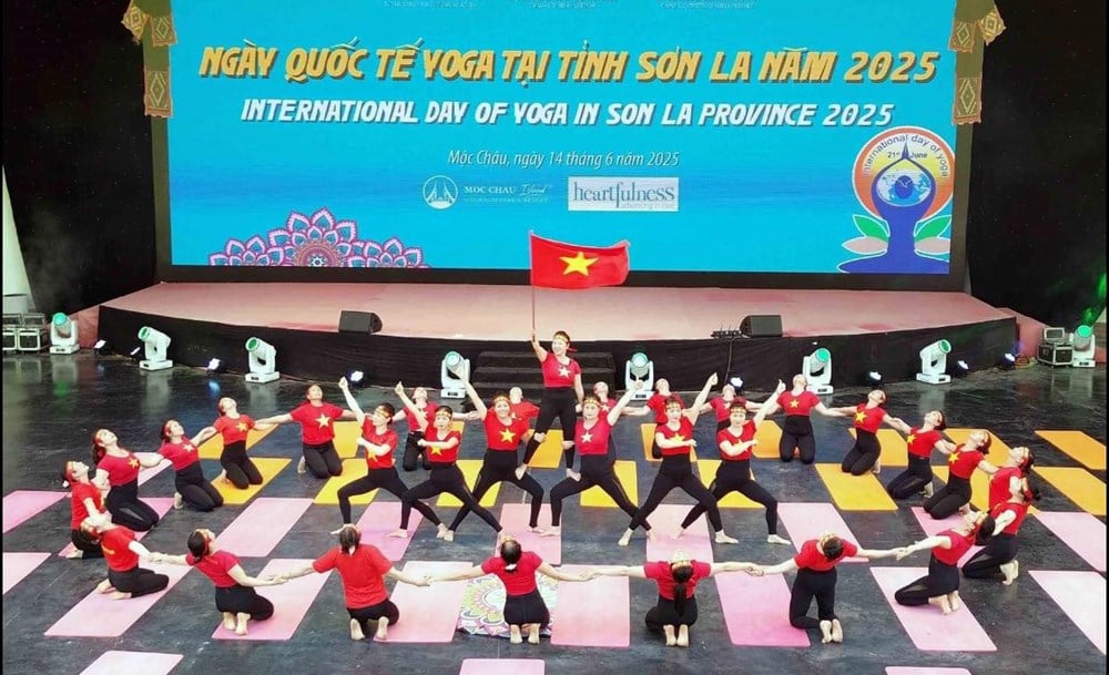 Sơn La hưởng ứng Ngày Quốc tế Yoga năm 2025  - ảnh 1