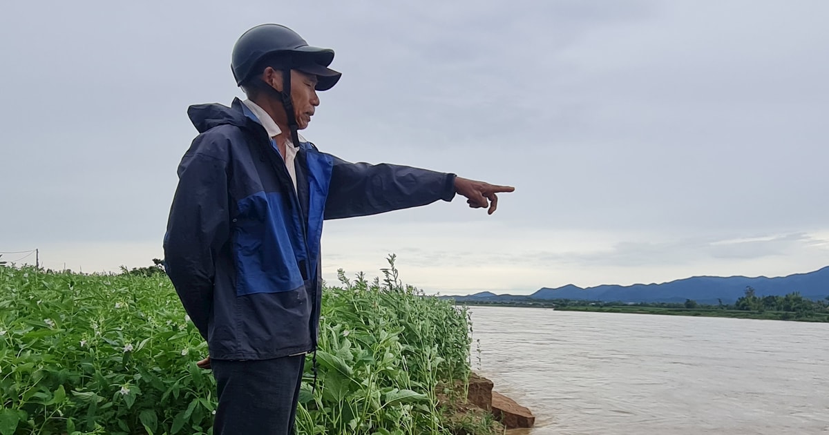 ตลิ่งแม่น้ำกวางเว้ถูกกัดเซาะอย่างรุนแรงหลังเกิดน้ำท่วม