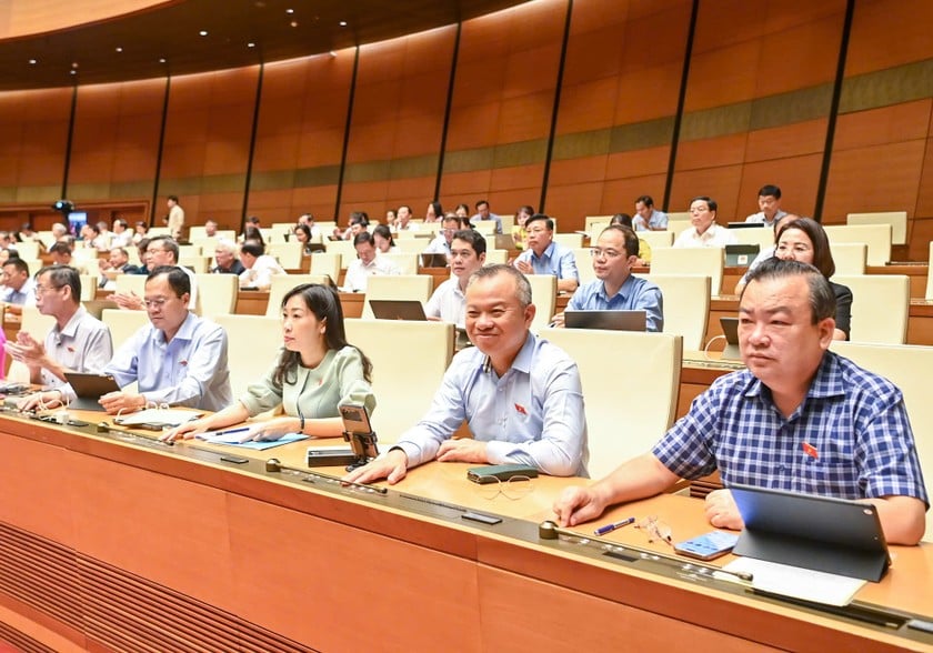 Các đại biểu biểu quyết tại Hội trường (Ảnh: Bộ KH&amp;CN)