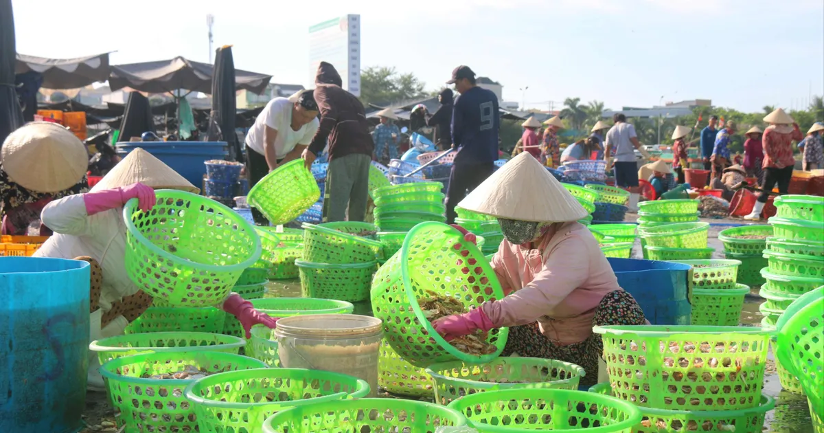 សម្រស់ថ្ងៃថ្មីនៅកំពង់ផែនេសាទ Phan Thiet