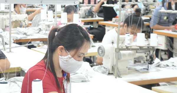 Hướng dẫn sắp xếp tổ chức bộ máy, nhân sự đối với công đoàn cấp tỉnh, công đoàn xã, phường