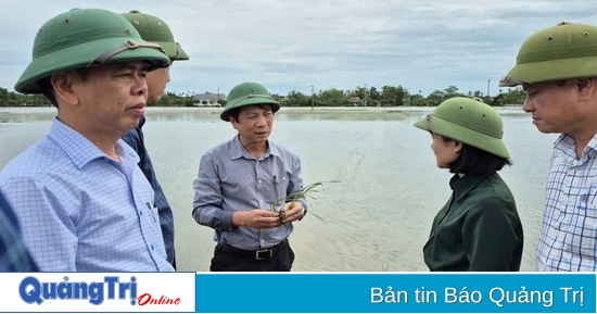Quyền Chủ tịch UBND tỉnh Hoàng Nam kiểm tra tình hình thiệt hại sau bão số 1