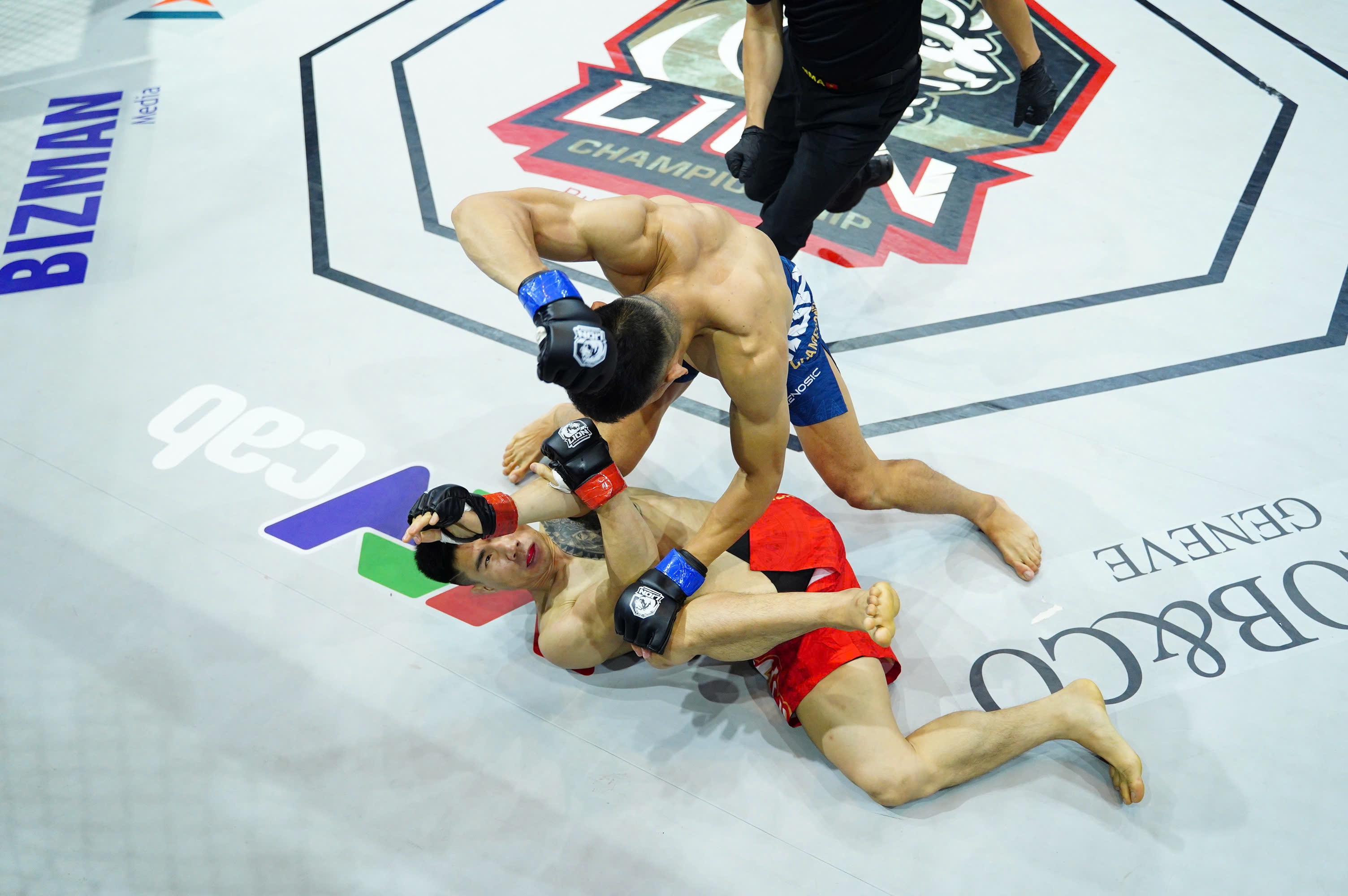 mma anh 1