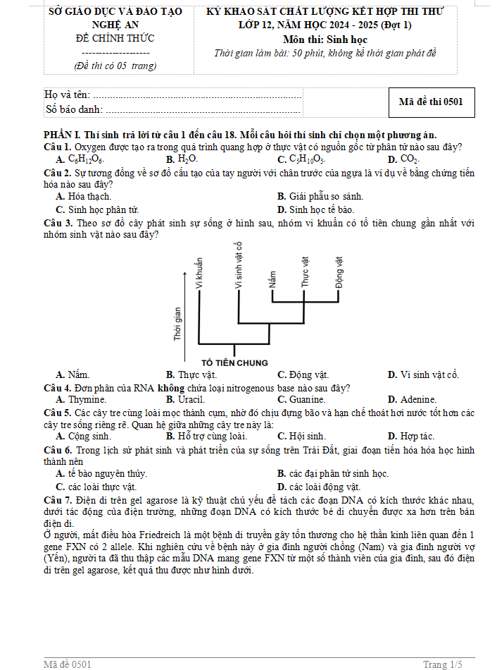 Đề Sinh học tốt nghiệp THPT Nghệ An 1.png