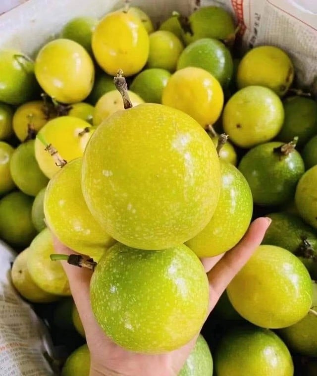 Loại quả ‘vua chất xơ’ giúp kiểm soát đường huyết giá siêu rẻ, ngày hè kết hợp cùng măng cụt thành đồ uống ‘hot trend’ giải nhiệt - Ảnh 3.