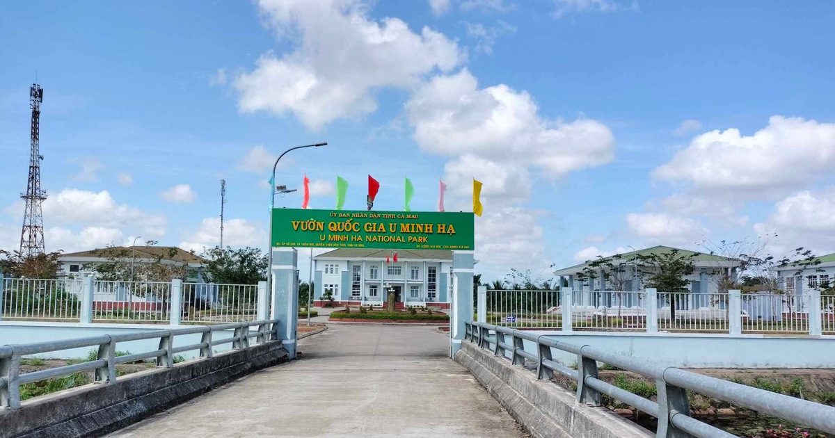 ការរួមបញ្ចូលគ្នានៃទីក្រុង Ca Mau និង Bac Lieu៖ គណៈកម្មាធិការប្រតិបត្តិបក្សខេត្តថ្មីមានសមាជិកចំនួន ៦១ រូប