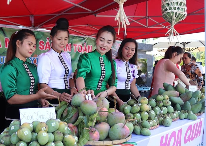 Mai Sơn (Sơn La): Nâng tầm nông sản địa phương bằng liên kết và công nghệ- Ảnh 2.