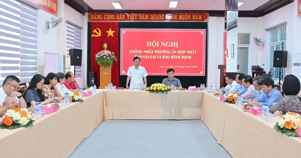សន្និសីទបានឯកភាពលើផែនការដាក់បញ្ចូលកាសែត Binh Dinh និងកាសែត Gia Lai