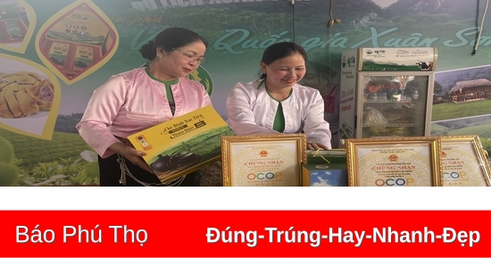 ประสิทธิภาพจากการสร้างห่วงโซ่การผลิตชาเขียว