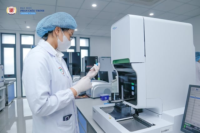 Trường ĐH Phan Châu Trinh tiên phong ứng dụng AI và công nghệ sinh học y khoa
- Ảnh 2.