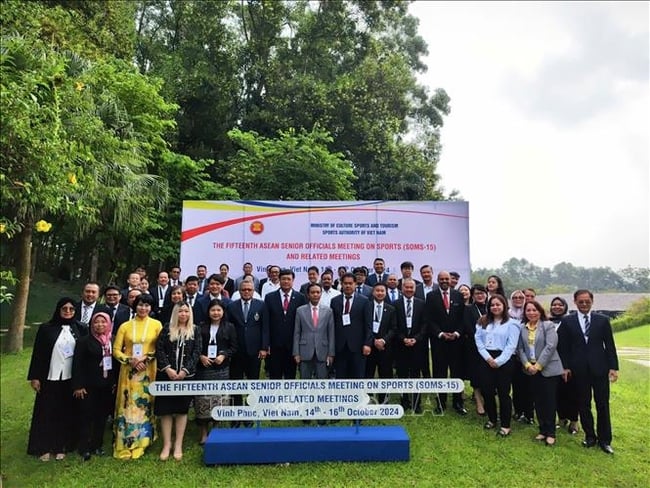 Ban hành Kế hoạch công tác chuẩn bị và tổ chức Hội nghị Bộ trưởng ASEAN về Thể thao lần thứ 8 và các Hội nghị liên quan tại Việt Nam - Ảnh 1.