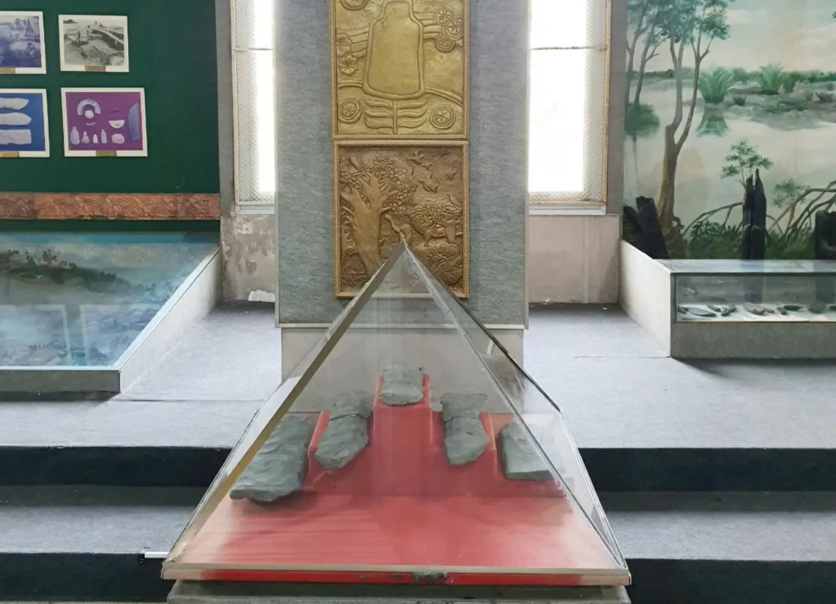 ស្រុក Tan Phu មិនមានកន្លែងតាំងពិពណ៌ និងប្រមូលកំណប់ជាតិទេ។