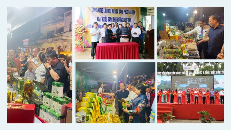 hinh-nen-may-tinh-to-chuc-bang-ke-hoach-ke-o-anh-mau-xanh-duong-5.jpg