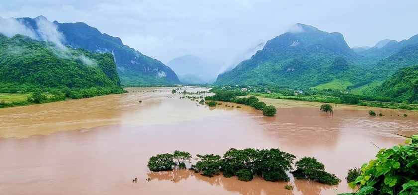 Mưa lũ do bão số 1 khiến đất trồng lúa, hoa màu ngập sâu ở xã Trường Sơn, huyện Quảng Ninh (Quảng Bình). Ảnh: N.V.T
