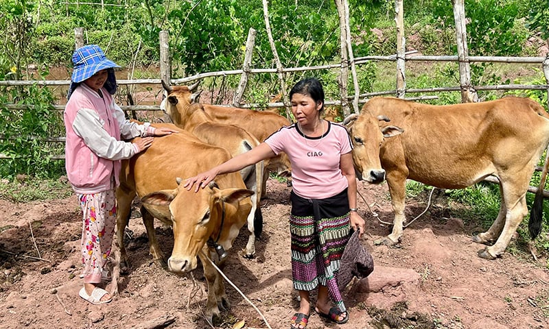 Policy credit capital has been covered to remote villages to help people develop the economy.