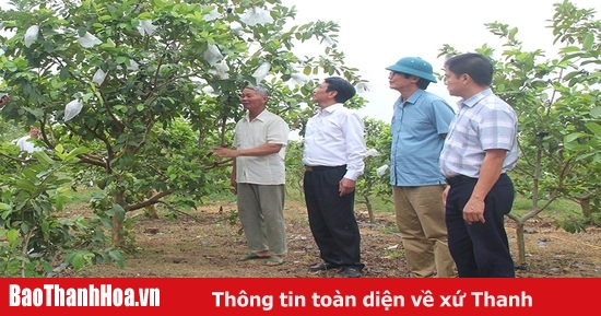 Khai mở đất hoang ven núi Dương Lăng