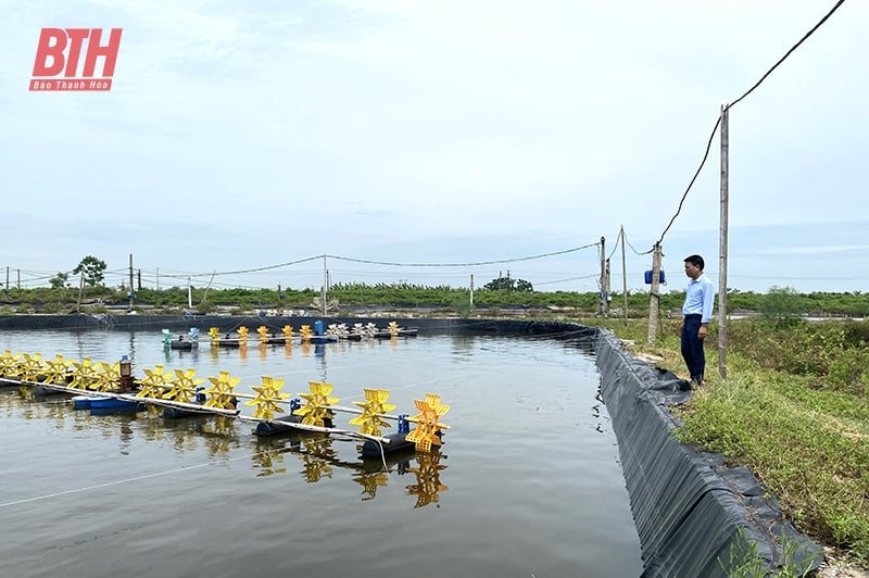 Bảo vệ diện tích nuôi trồng thủy sản mùa nắng nóng