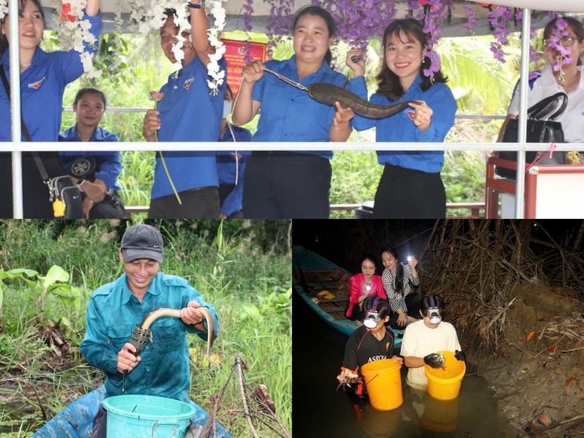 Phát triển loại hình sản phẩm du lịch sinh thái và du lịch sinh thái nông nghiệp... Đồng thời, phát huy các sản phẩm gắn với hệ sinh thái rừng ngập mặn, hệ sinh thái rừng tràm,…
