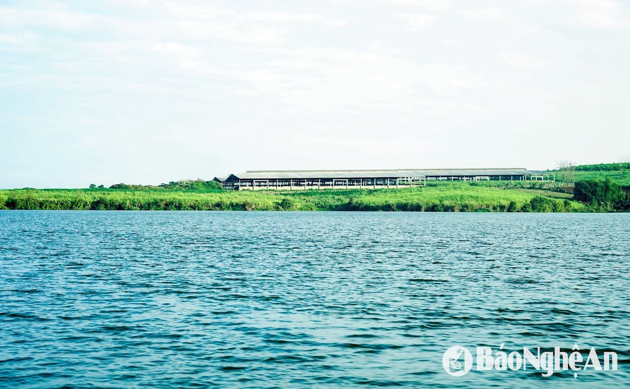  trang trại bên sông Sào