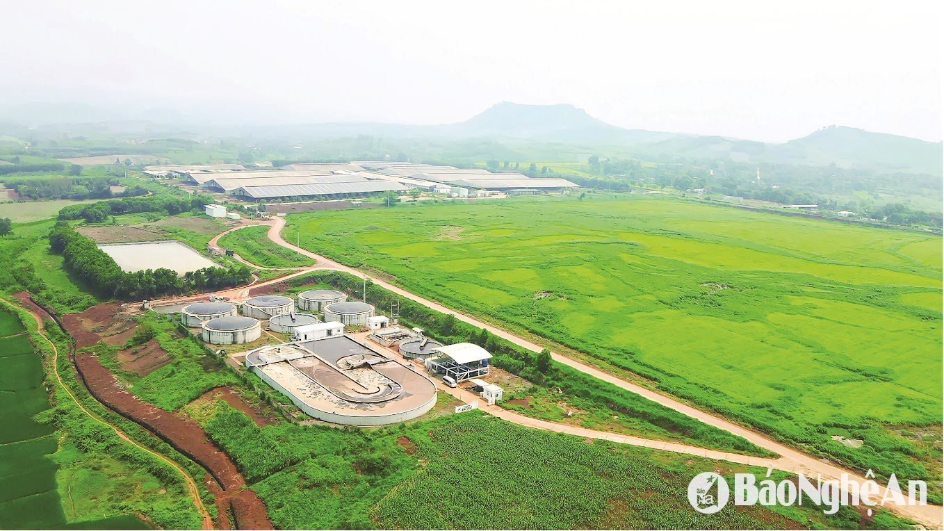  Một phần quang cảnh nhà máy và trang trại TH