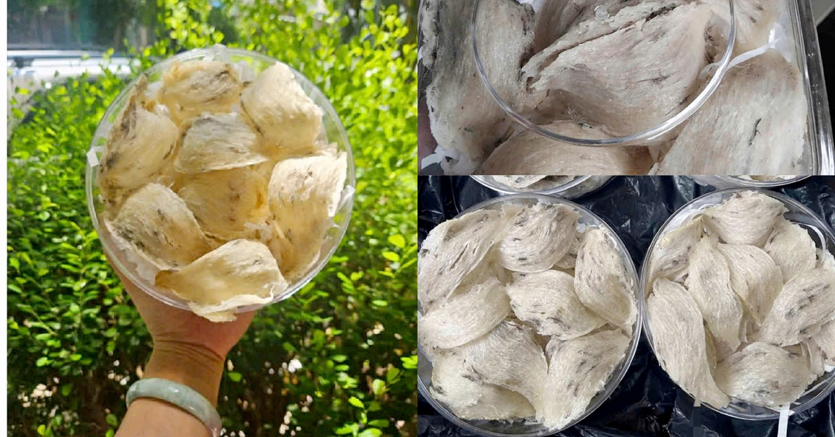 សំបុក​បក្សី​ដែល​មាន​តម្លៃ​ថោក​មាន​គ្រប់​ទីកន្លែង គុណភាព​មិន​ច្បាស់លាស់