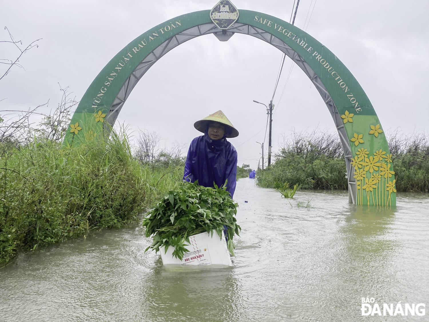 Las fuertes lluvias prolongadas provocadas por el impacto de la tormenta n.º 1 provocaron que decenas de hectáreas de hortalizas en la aldea de La Huong quedaran sumergidas. En la foto: tomada el 12 de junio, muchos agricultores intentan rescatar hortalizas de la inundación.