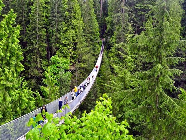 capilano-подвеска.webp