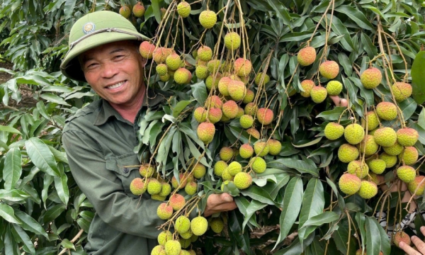 ដើម្បីគោលដៅជនបទសម័យទំនើប កសិករស៊ីវិល័យ