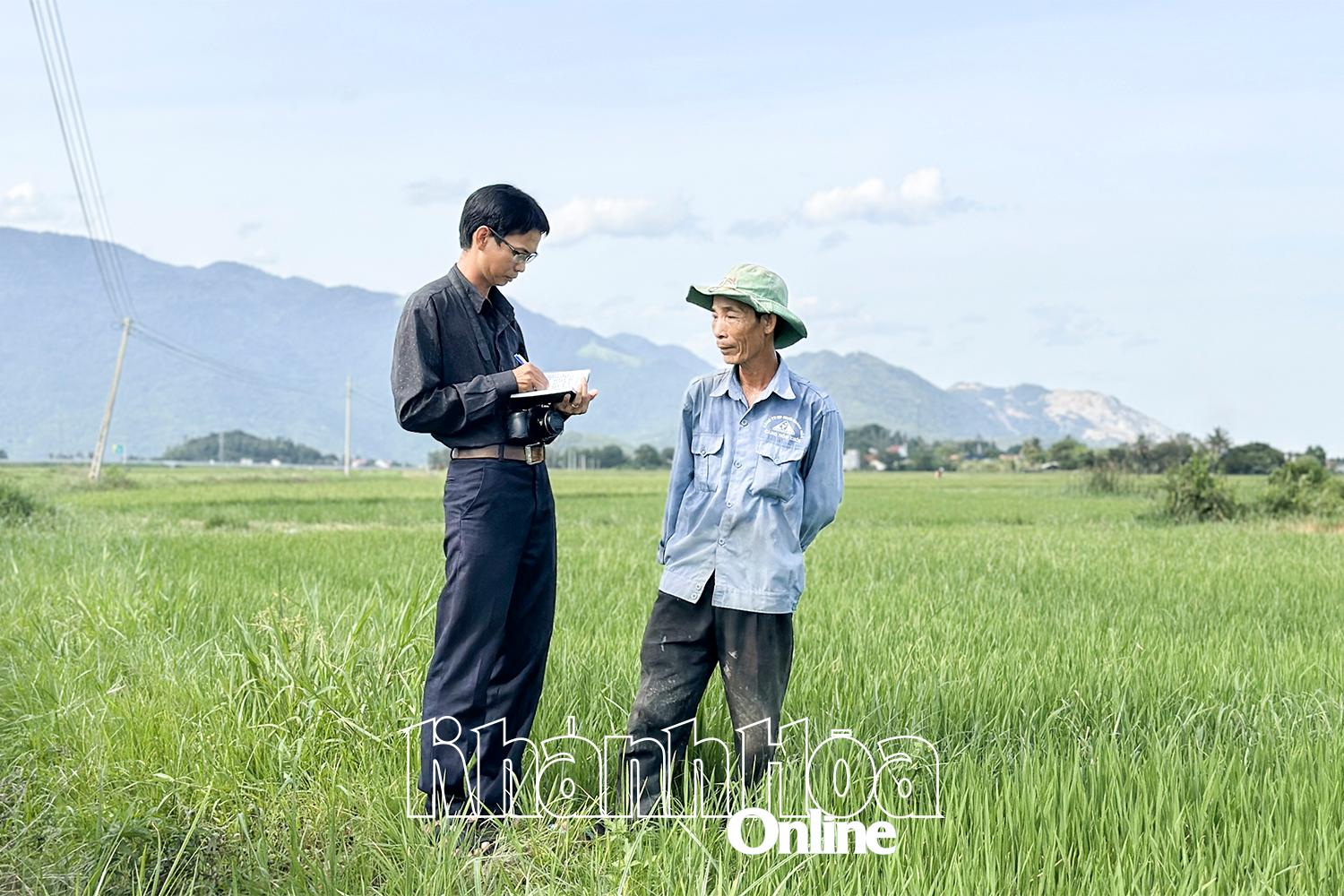 Ông Đặng Thanh Hải trao đổi, phỏng vấn nông dân Vạn Ninh về việc chăm sóc lúa.
