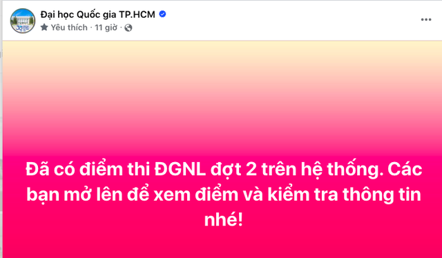 Cổng tra cứu điểm thi đánh giá năng lực ĐH Quốc gia TP.HCM bị nghẽn nhiều giờ - Ảnh 1.