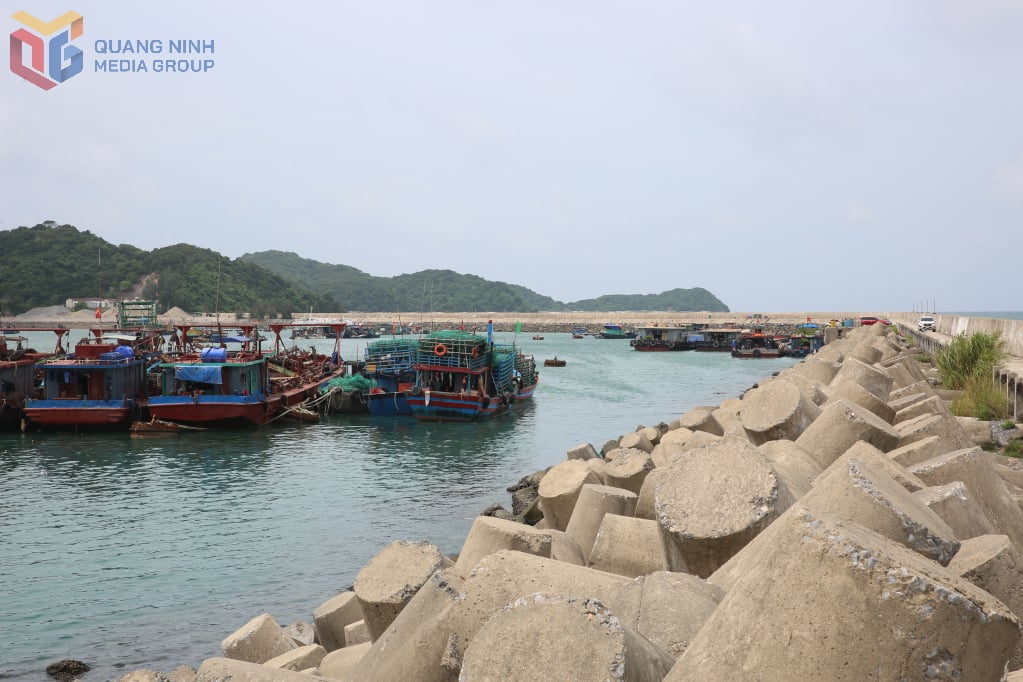 Breakwater project, storm shelter for fishing boats on Co To island.