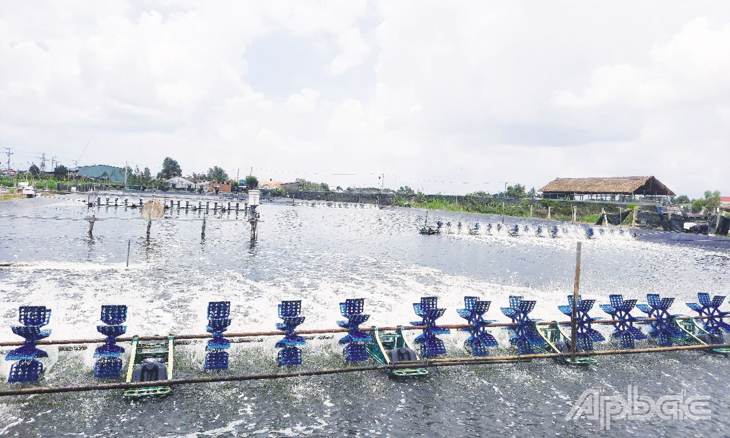 កម្មវិធីគោលដៅជាតិសម្រាប់ការកាត់បន្ថយភាពក្រីក្រប្រកបដោយនិរន្តរភាពបាននាំមកនូវឱកាសសម្រាប់ប្រជាជននៅស្រុកកោះ Tan Phu Dong ងើបឡើង។