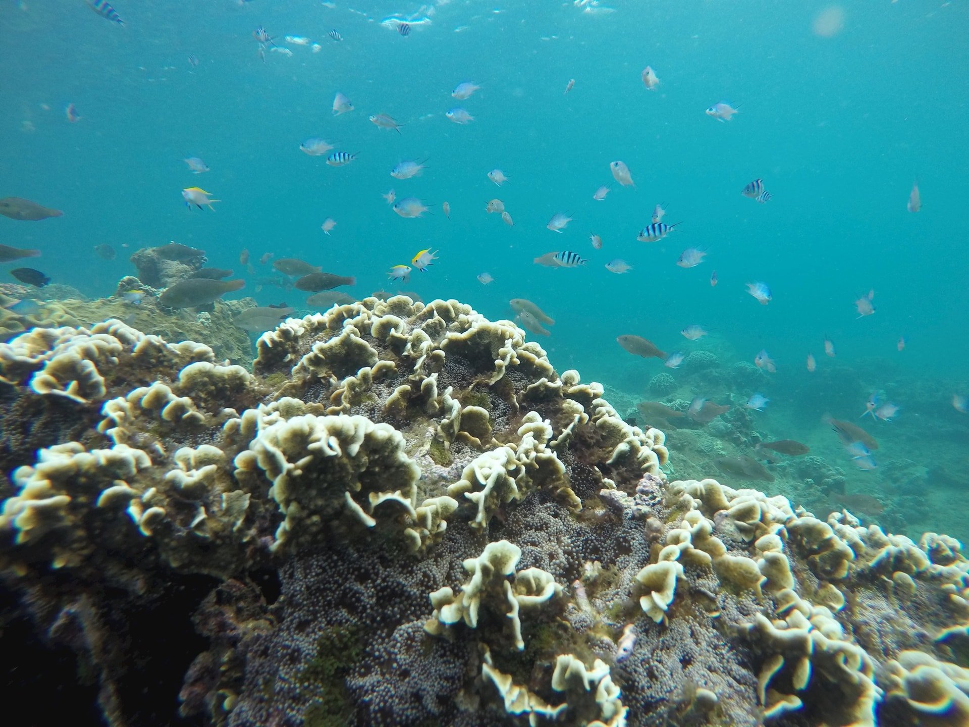 gopr0299.jpg