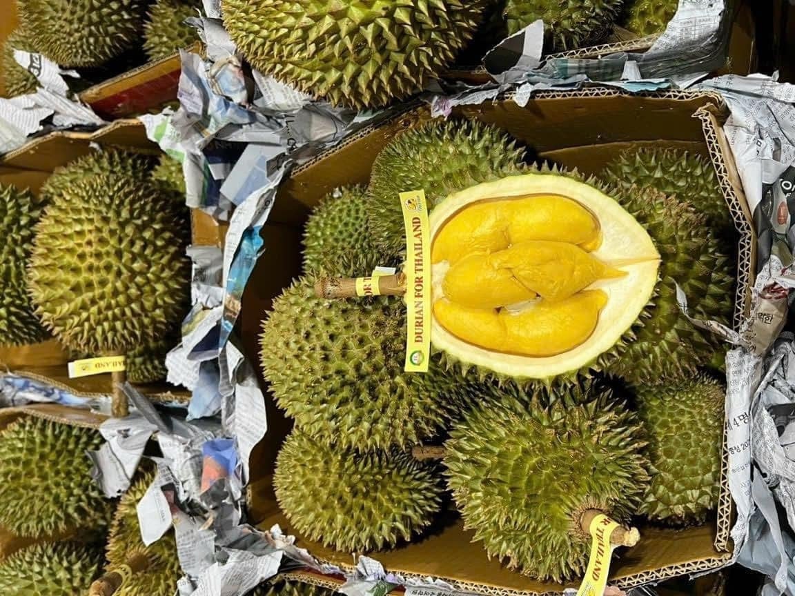 Giá sầu riêng hôm nay 16/6: Sầu riêng Thái giữ giá cao