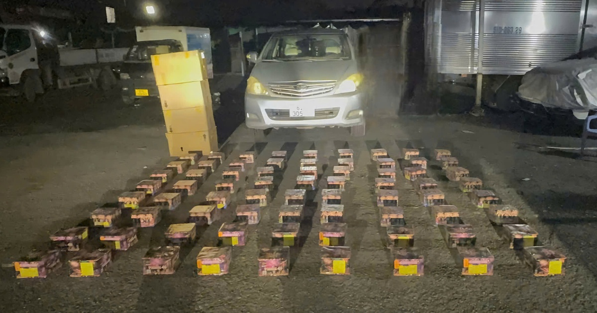 密輸・偽造品対策 6月16日：120kgの違法花火を輸送した運転手を起訴