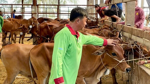 ក្នុង​អំឡុង​ឆ្នាំ​២០២១-២០២៥ ឡុងអាន​បាន​កៀងគរ​ថវិកា​ជិត​៤.៥០០​ពាន់​លាន​ដុង​ដើម្បី​អនុវត្ត​ការងារ​កាត់​បន្ថយ​ភាព​ក្រីក្រ។