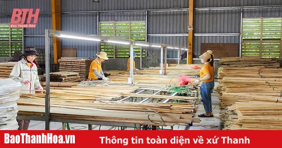 ការអភិវឌ្ឍន៍ប្រកបដោយនិរន្តរភាព លើកកំពស់តម្លៃដើមឬស្សី និងផ្តៅ