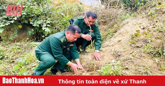 Bảo vệ môi trường đất: Vấn đề cần quan tâm