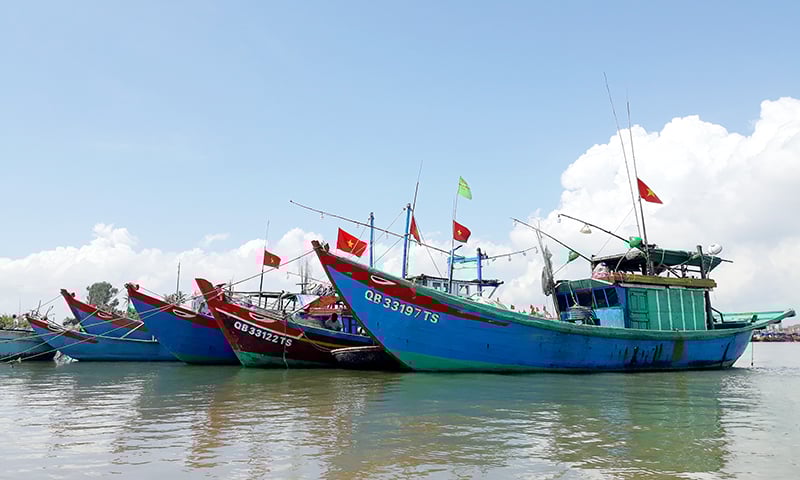 Quảng Bình tăng cường quản lý tàu cá để góp phần chống khai thác IUU.