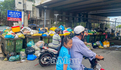 ទីក្រុង Ca Mau មានសំរាម 70 តោនទុកចោល ដោយសាររោងចក្រឈប់ដំណើរការ ហើយរង់ចាំតម្លៃឯកតាថ្មី។