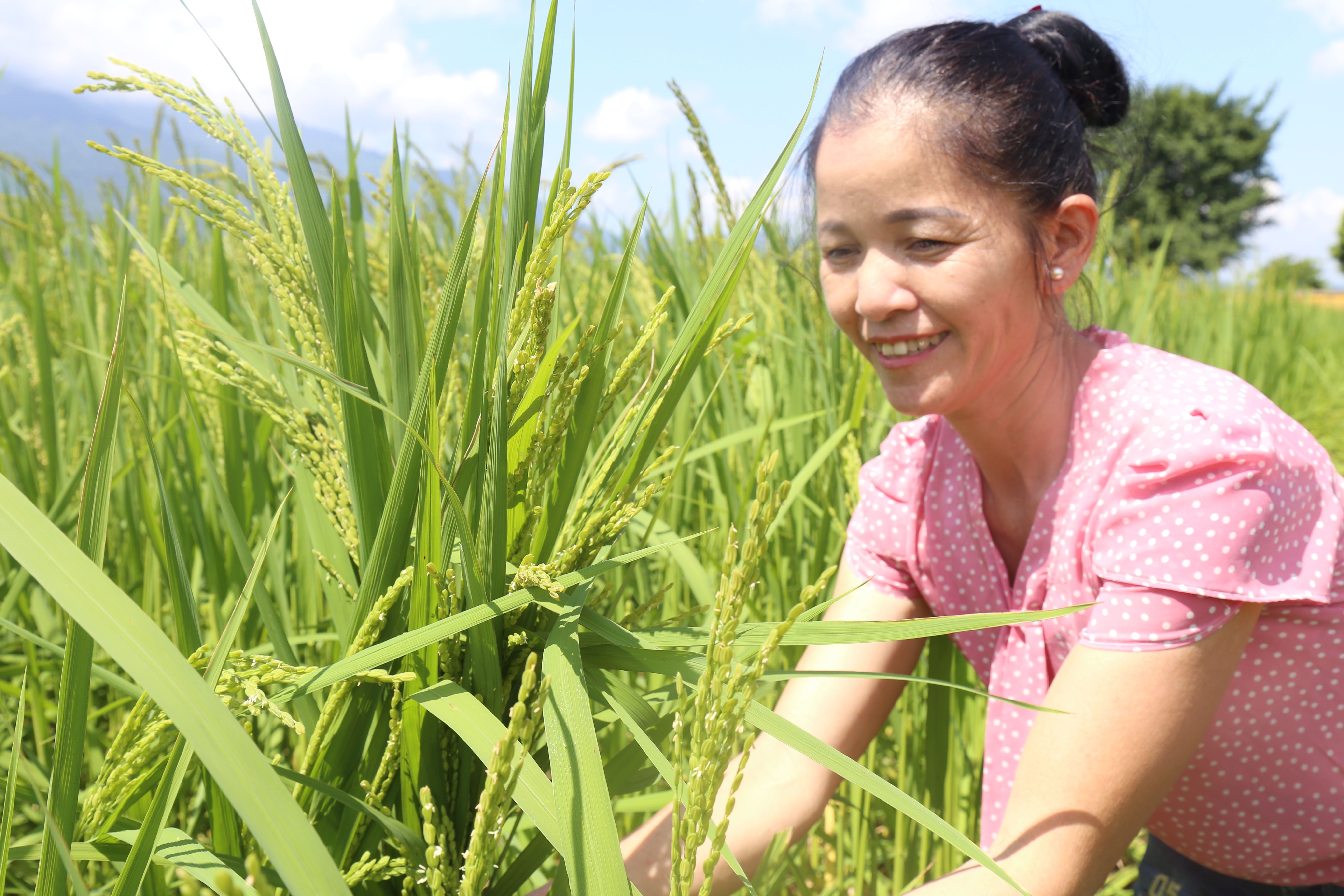 Join hands to build new rural communes